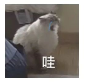 DƬ